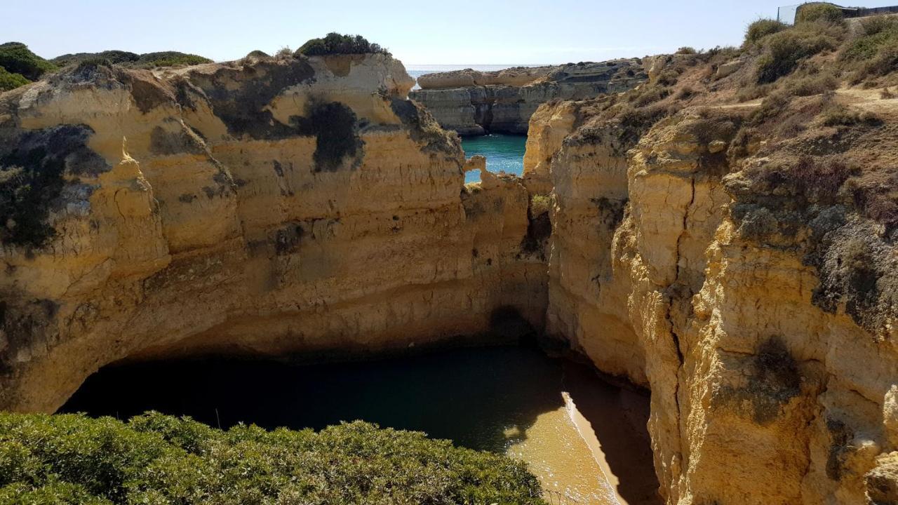Magnific Studio With A Cozy Garden, 5 Minutes To The Beach Albufeira Eksteriør billede
