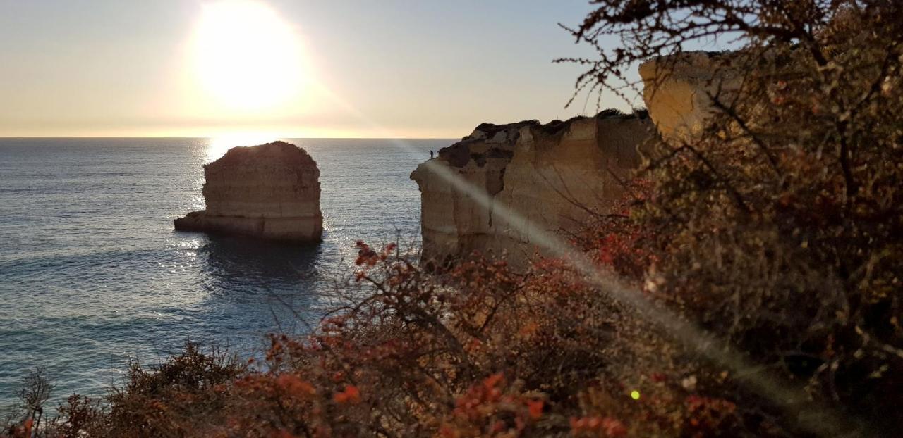 Magnific Studio With A Cozy Garden, 5 Minutes To The Beach Albufeira Eksteriør billede