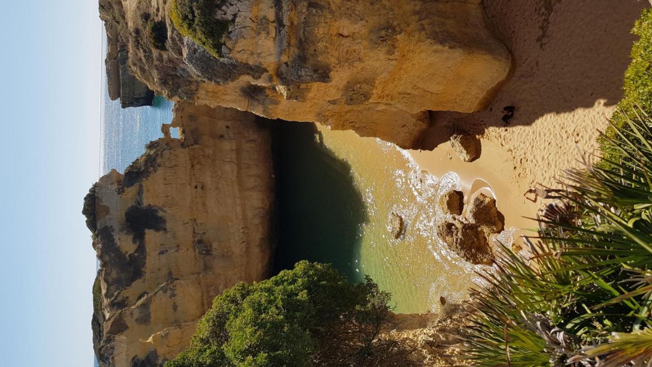 Magnific Studio With A Cozy Garden, 5 Minutes To The Beach Albufeira Eksteriør billede