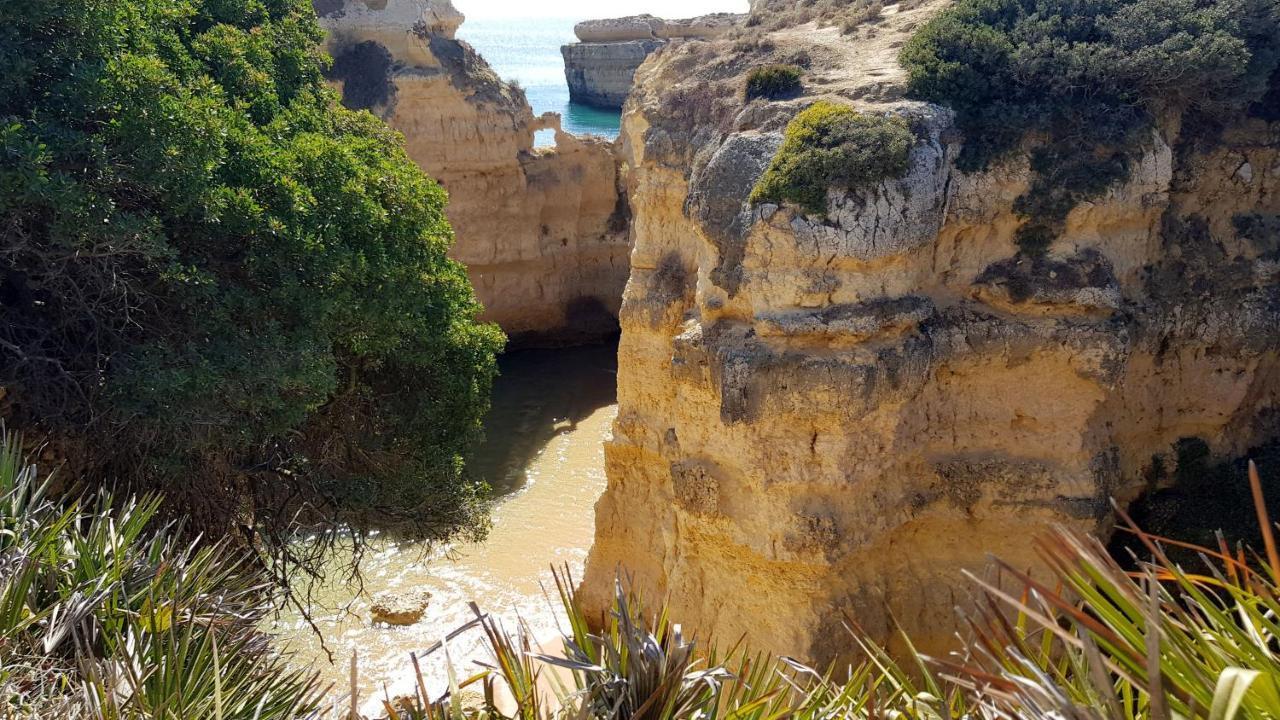Magnific Studio With A Cozy Garden, 5 Minutes To The Beach Albufeira Eksteriør billede