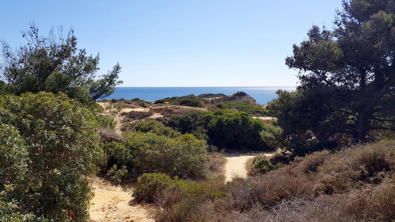 Magnific Studio With A Cozy Garden, 5 Minutes To The Beach Albufeira Eksteriør billede