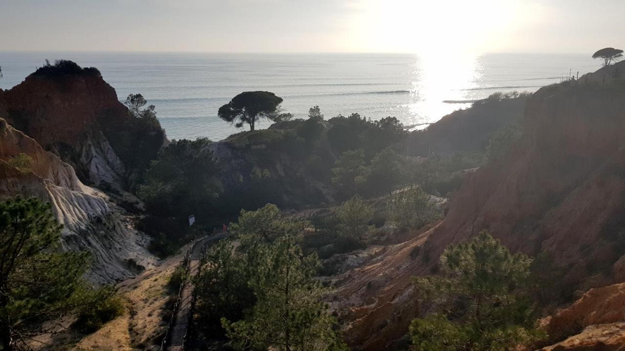 Magnific Studio With A Cozy Garden, 5 Minutes To The Beach Albufeira Eksteriør billede