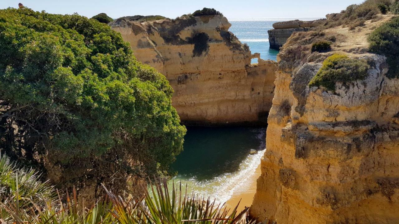 Magnific Studio With A Cozy Garden, 5 Minutes To The Beach Albufeira Eksteriør billede