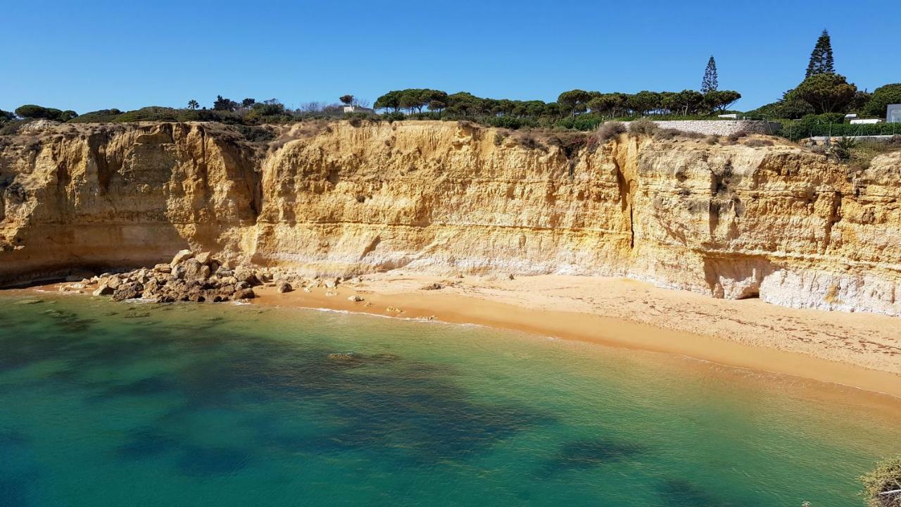 Magnific Studio With A Cozy Garden, 5 Minutes To The Beach Albufeira Eksteriør billede