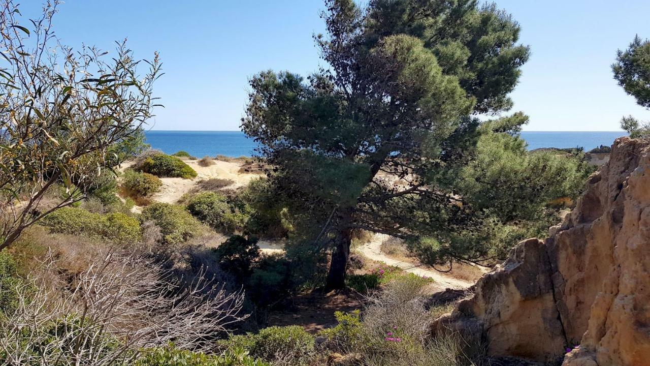 Magnific Studio With A Cozy Garden, 5 Minutes To The Beach Albufeira Eksteriør billede