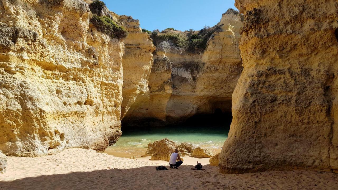 Magnific Studio With A Cozy Garden, 5 Minutes To The Beach Albufeira Eksteriør billede