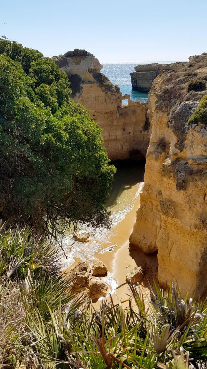 Magnific Studio With A Cozy Garden, 5 Minutes To The Beach Albufeira Eksteriør billede